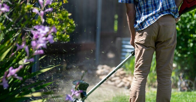 Spring Yard Work and Low Back Pain: What Clinton Township Residents Need to Know | Evolve Chiropractic image