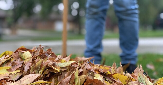Raking Leaves and Back Pain: How to Protect Your Back This Fall