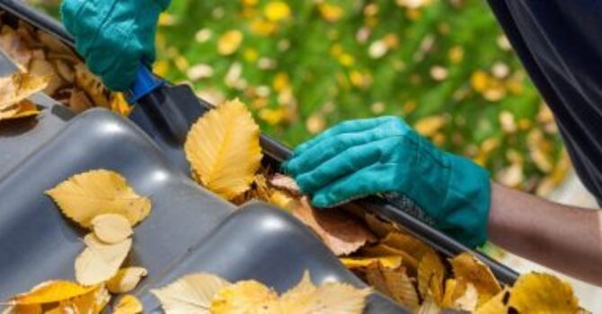 Neck and Upper Back Pain From Gutter Cleaning and Fall Chores